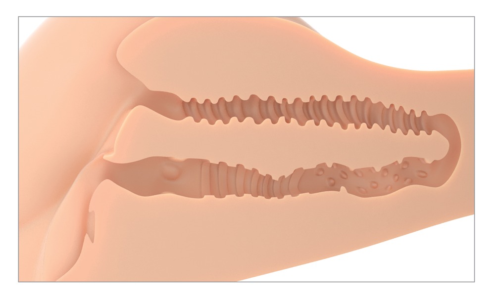 PDX Plus 360° Banger Light 💋 – Bild 7