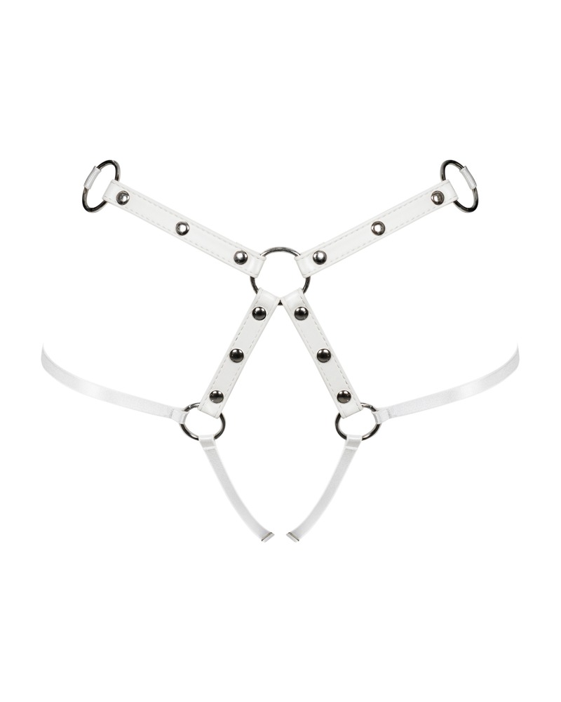 OBS Harness S-L 💋 – Bild 3