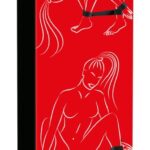 Bad Kitty Spreader bar with sh 💋