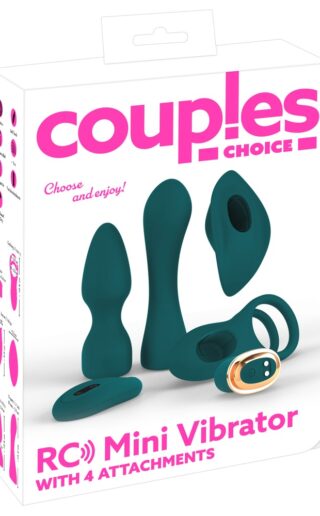 Couples Choice Mini Vibe w 4 💋