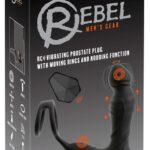 RC Vibrating Prostate Plug Nod 💋