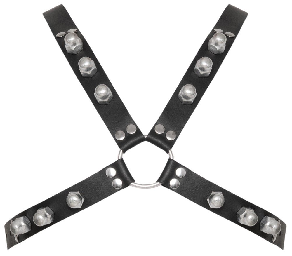 Le Herren Harness 💋 – Bild 6