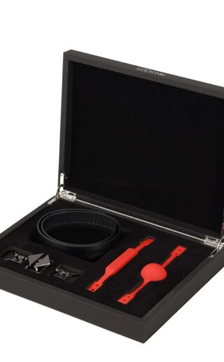 LOCKINK - Ball-Gag & Gag-bite Set - schwarz