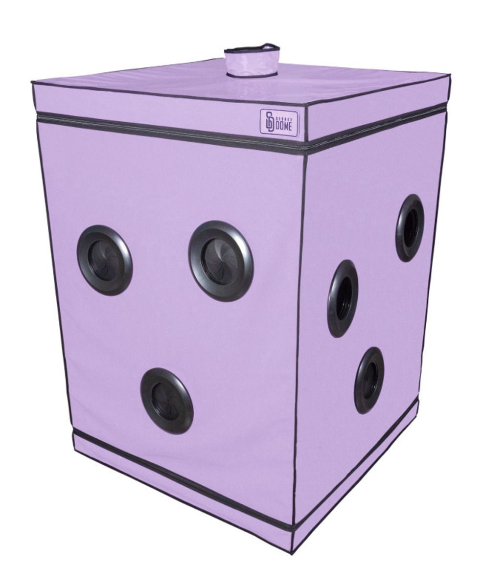 Secretdome – SCANDALE – Lila